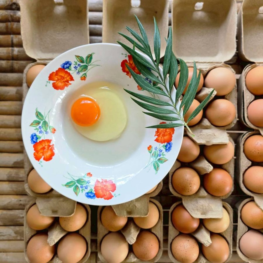 สั่งไข่จำนวนมากสำหรับร้านอาหาร